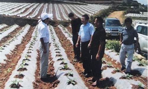 菠菜公司排名：专业菠菜导航官方网站 (2)