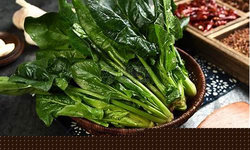 菠菜社区论坛：菠菜大全(菠菜菜谱大全)