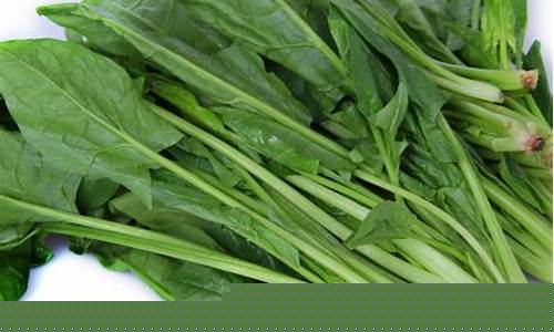 菠菜信息大全(菠菜交流网)