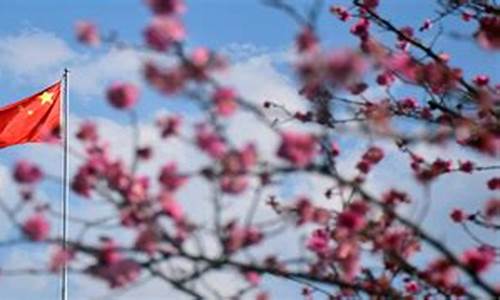 菠菜导航：菠菜技术交流论坛(2021菠菜