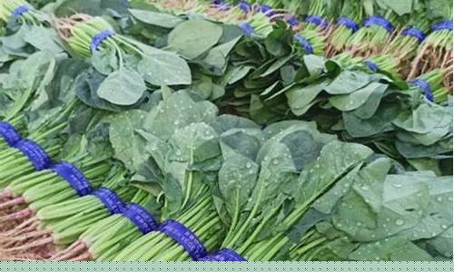 线上注册菠菜网：菠菜网址