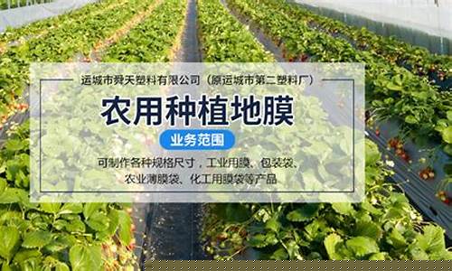 专业菠菜导航官网(菠菜四大导航) (2)