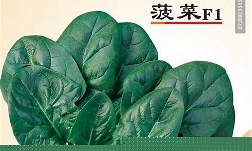 网上注册菠菜网：菠菜公司广告(菠菜广告语)