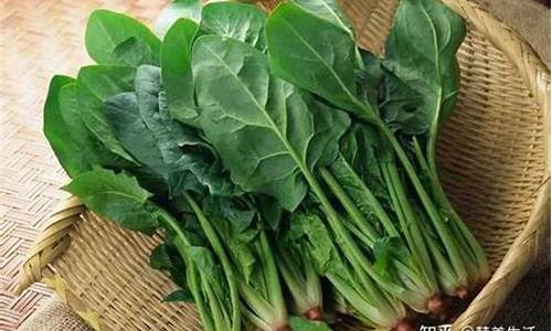线上菠菜入口(菠菜是哪个国家入口)