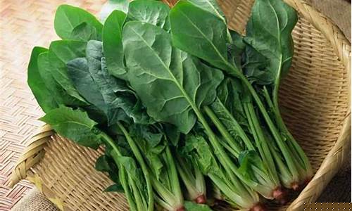 线上菠菜入口(线上菠菜评级) (2)