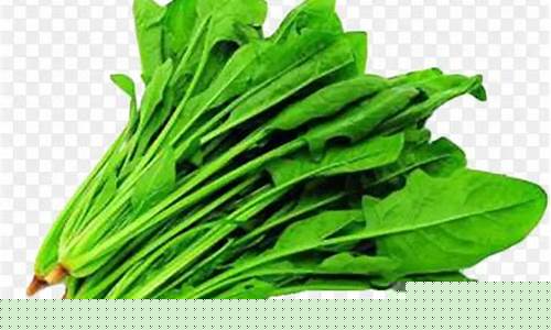 菠菜公司下载(菠菜app怎么下载)