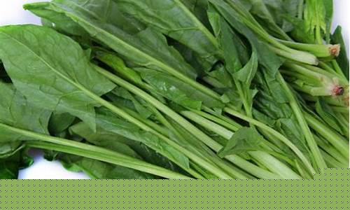 网上菠菜公司注册直营：菠菜信息大全(知名