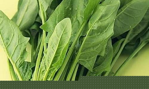 菠菜联盟担保大全：菠菜公司网址 (2)